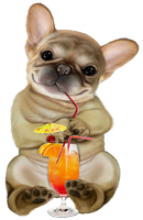 a frenchie sipping a cool drink